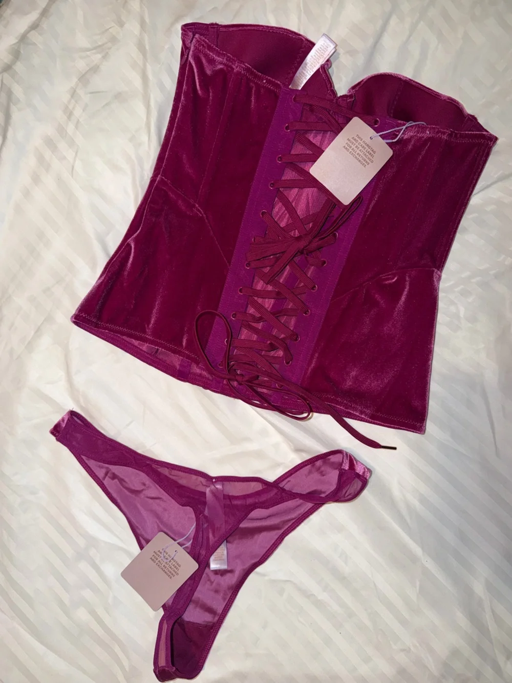 Savage X Fenty Velvet Vixen Bustier and Thong Lingerie Set NWT